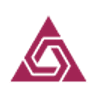 Tami AI logo
